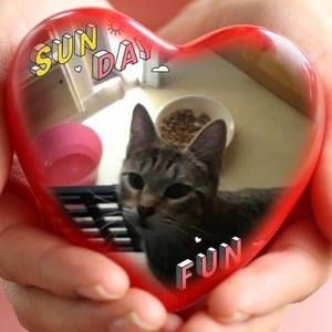 Meet your Posher, Kellie